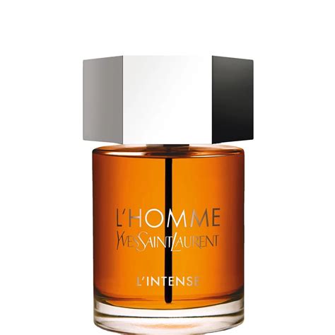 ysl eu de parfum|YSL eau de parfum homme.